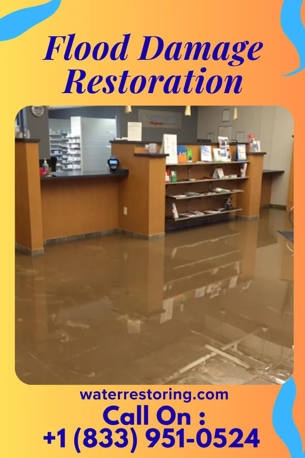 Flood Damage Restoration in University Park, IL