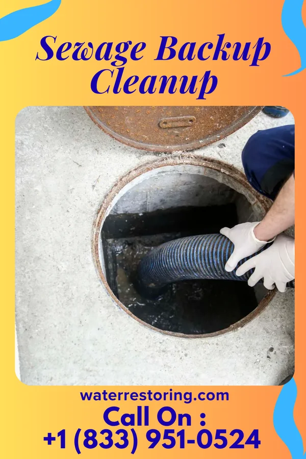 Sewage Backup Cleanup in University Park, IL